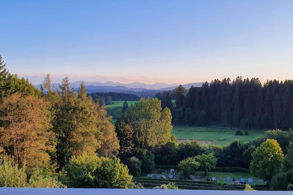 Traumhafter Bergblick Im Allgaeuer Luftkurort * Buchenberg (Bavaria)